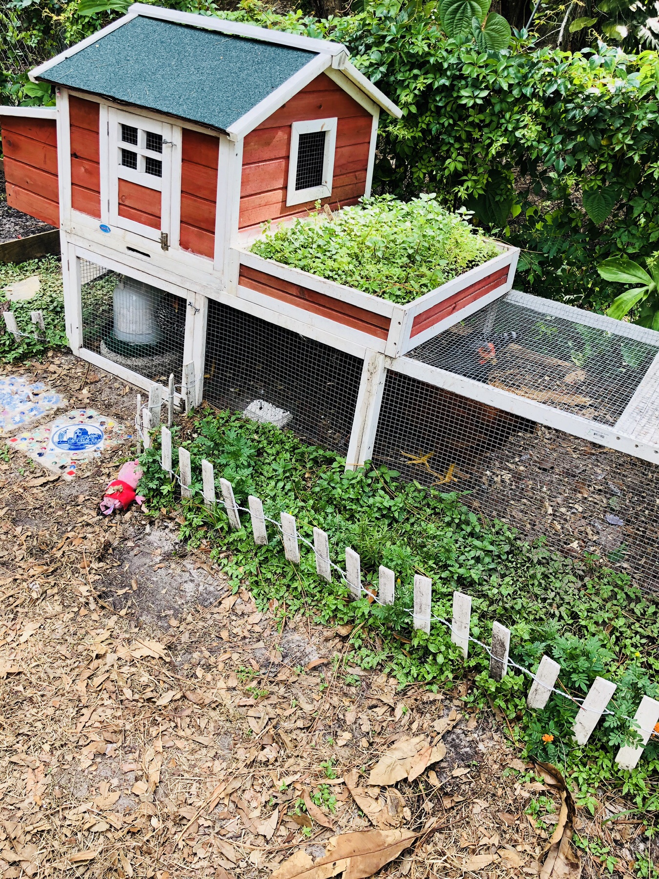 Free Range Chickens (mostly) House & Homestead