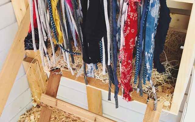 Shredded Fabric Curtains for Chicken Coops