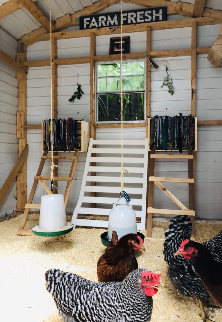 DIY: From Old Shed to Chicken Coop