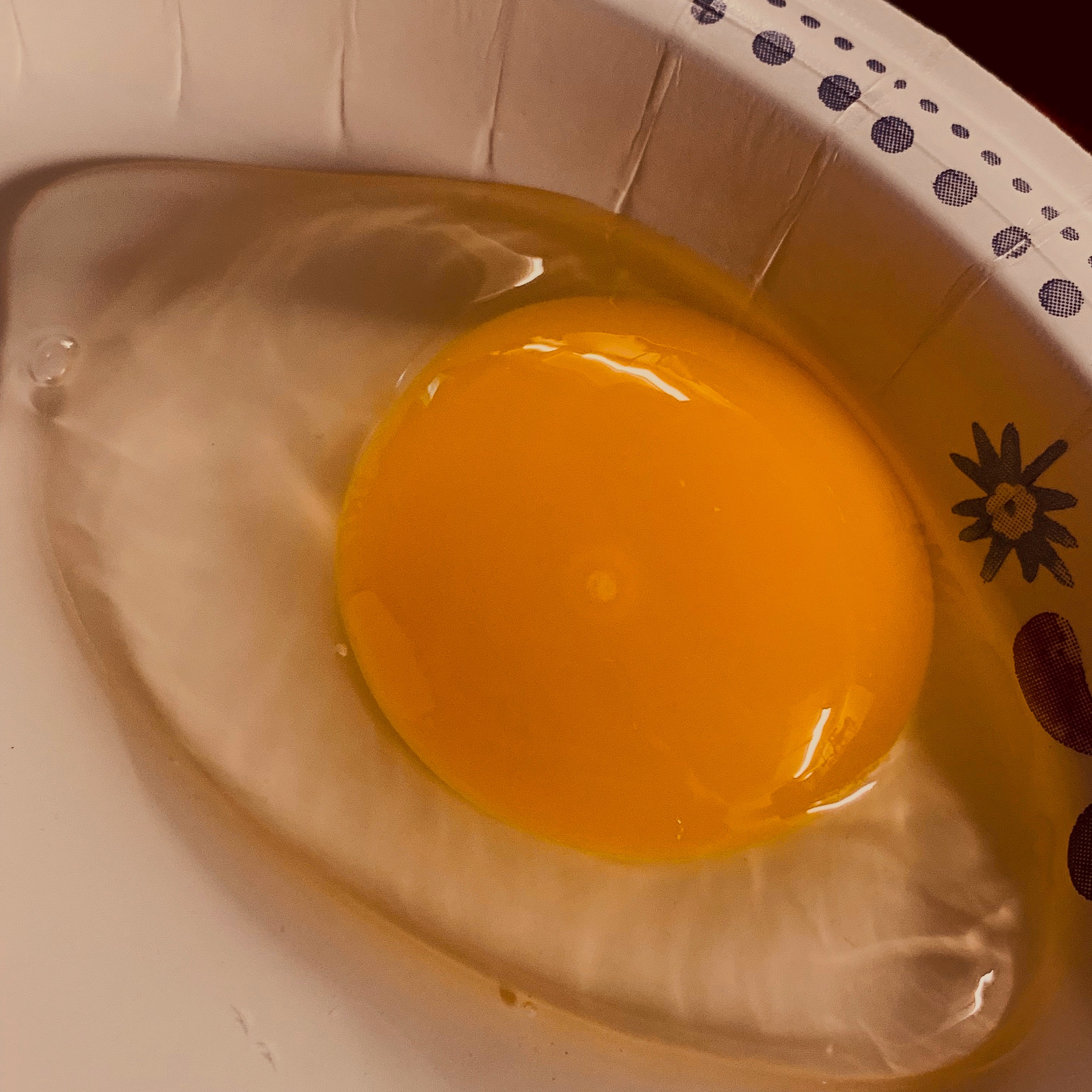 How To Easily Tell If Duck or Chicken Eggs Are Fertile House & Homestead