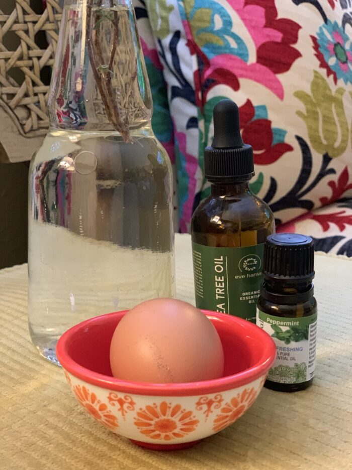 5 Ingredient Coop Refresher Spray for Smells, Lice & Mite Prevention House & Homestead