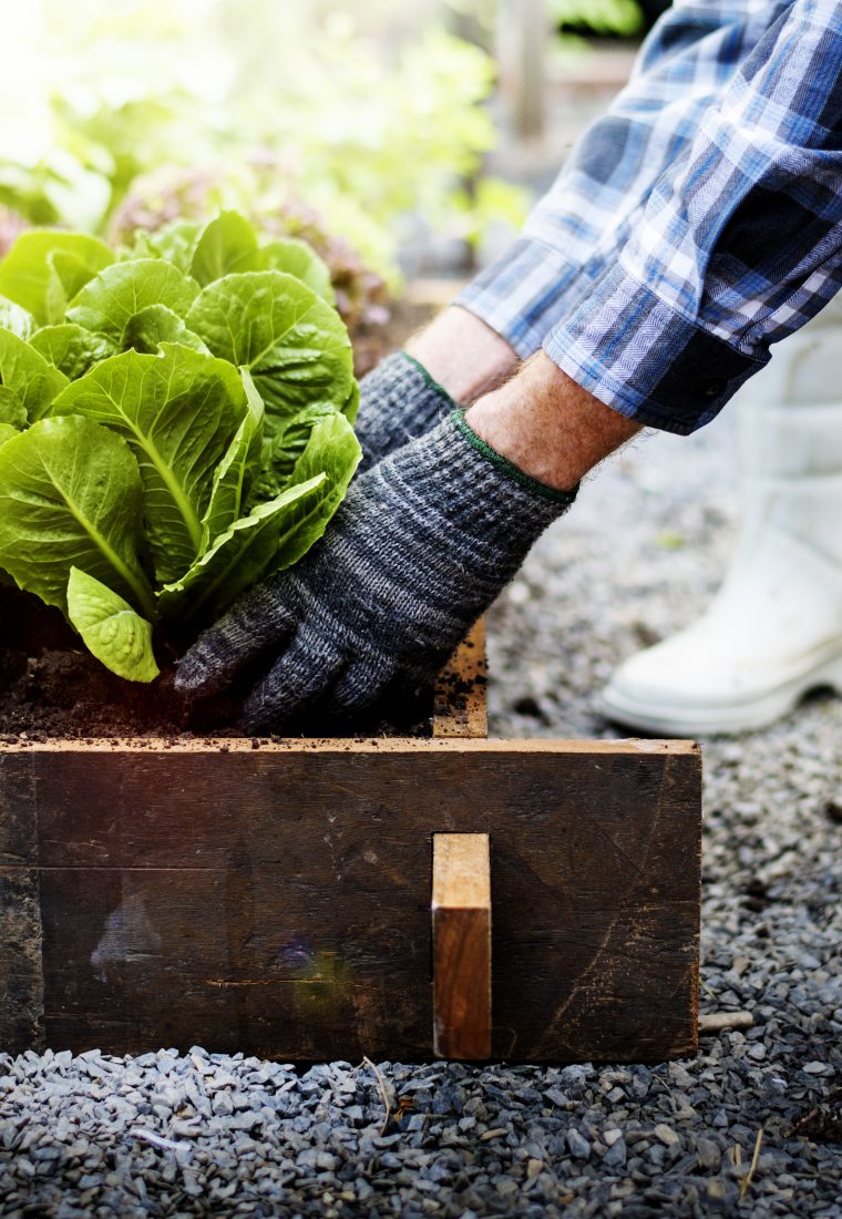 10 Ways Homesteaders Are Saving the Planet
