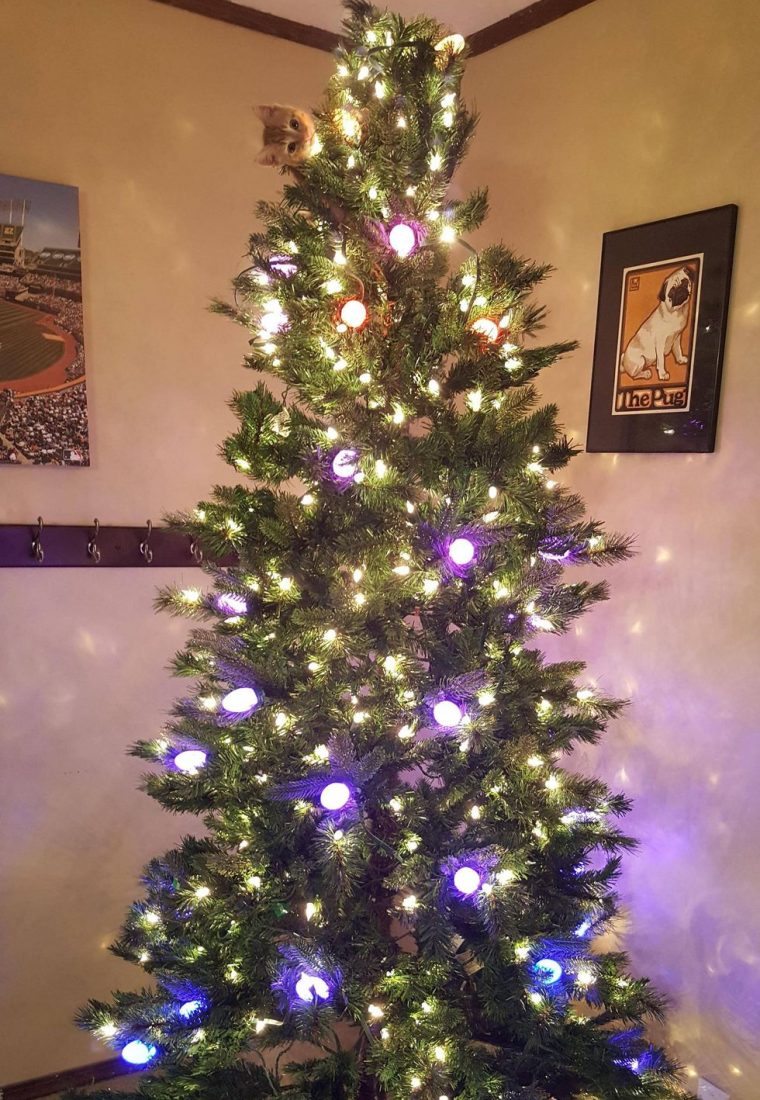 Hilarious Christmas Tree Fails